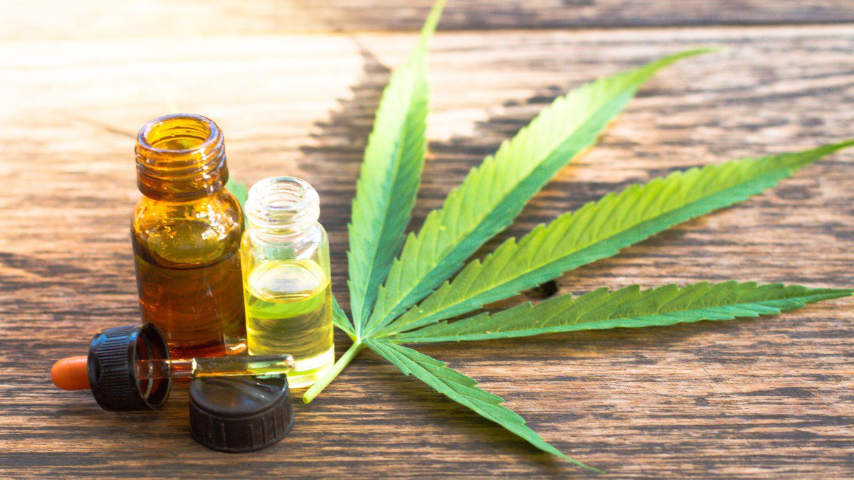 Canabidiol não tem efeitos alucinógenos 