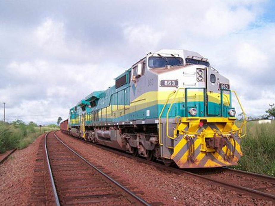 Promotoria de Meio Ambiente de São Luís investiga possíveis maus-tratos a animais no transporte ferroviário da Vale